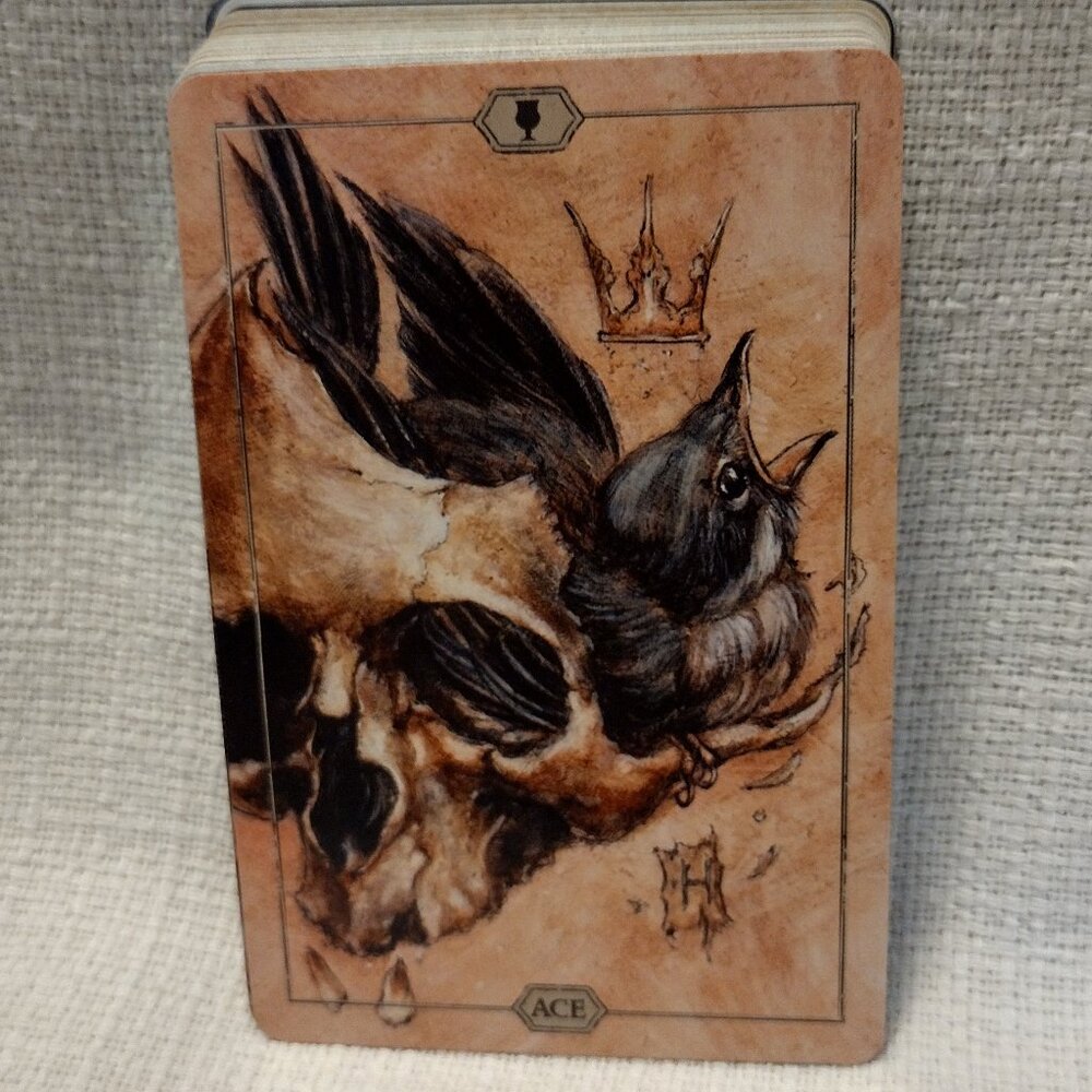 Hush Tarot - Picture 10 of 15